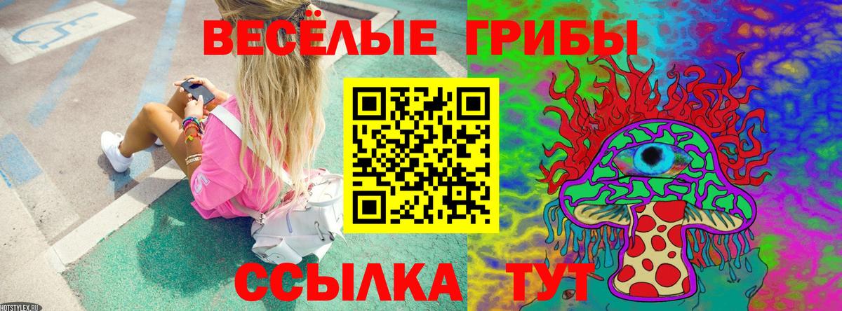 Елец  Псилоцибиновые грибы мицелий  Вход с VPN  Псилоцибиновые грибы ЛСД 